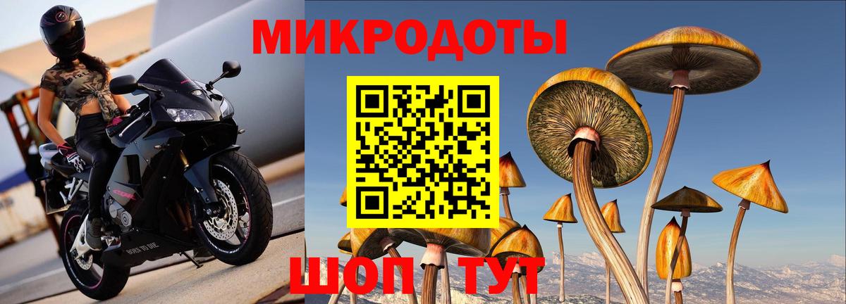 Псилоцибиновые грибы мицелий Королёв