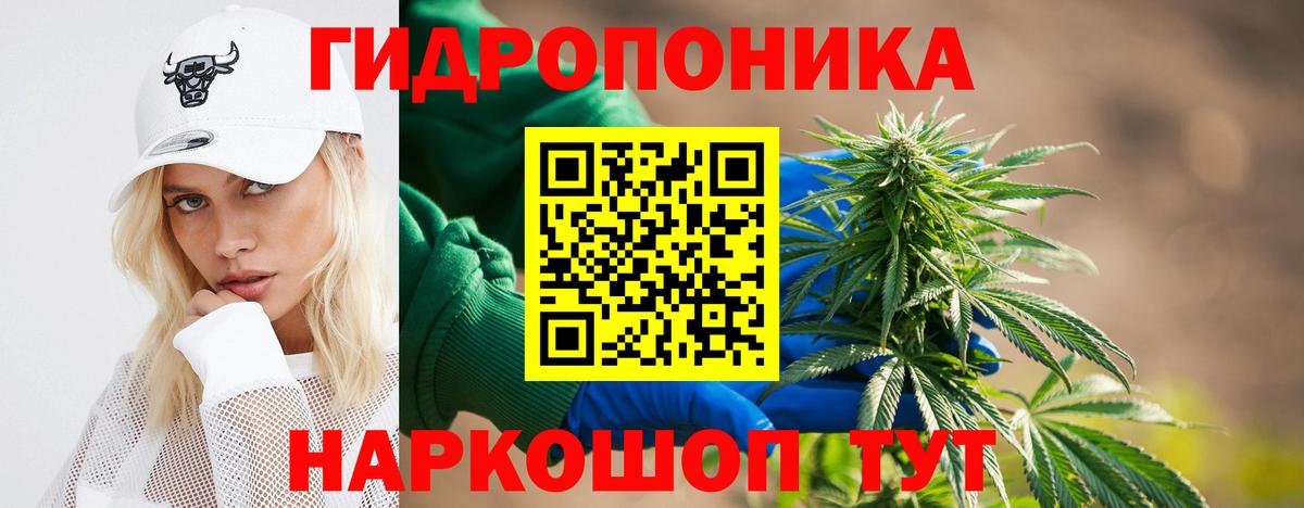 Конопля конопля Королёв